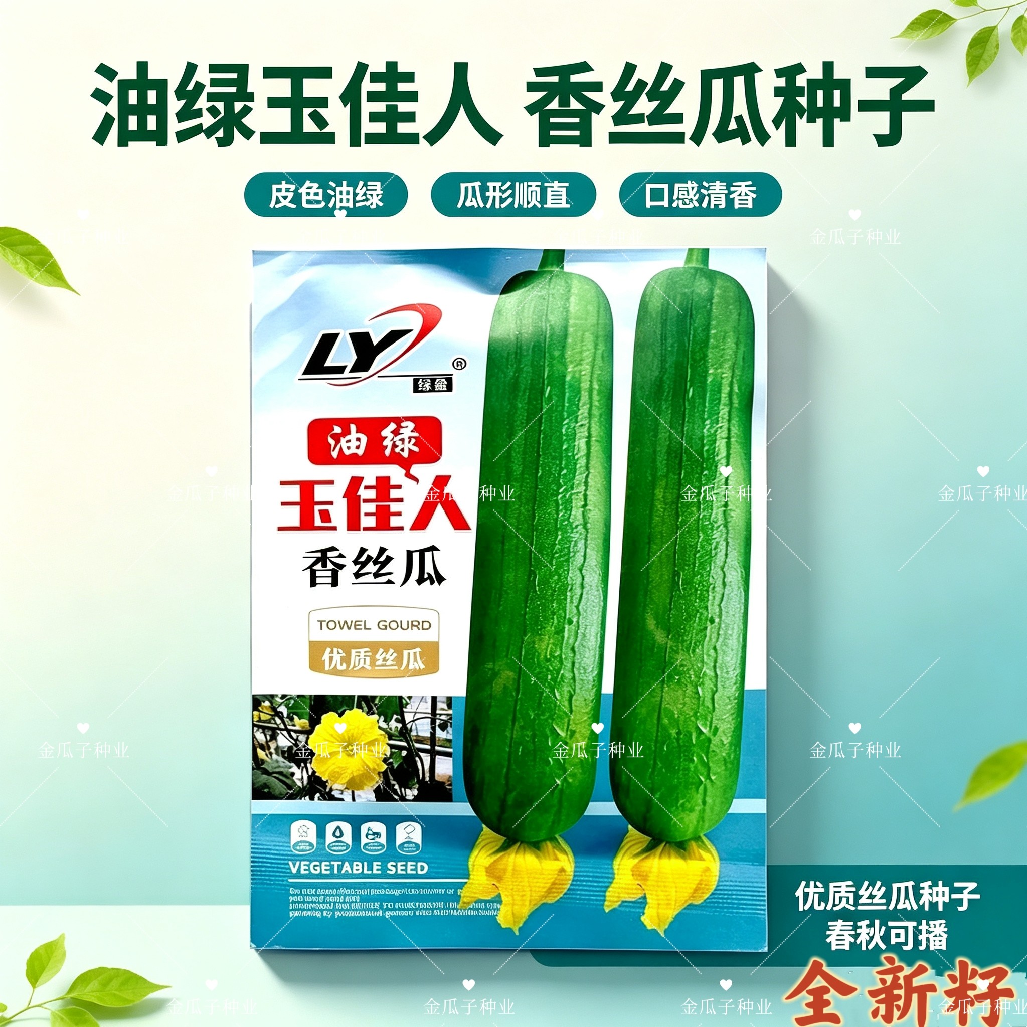 油绿玉佳人香丝瓜种子杂交短棒香丝瓜种子早熟绿油皮丝瓜水瓜种子