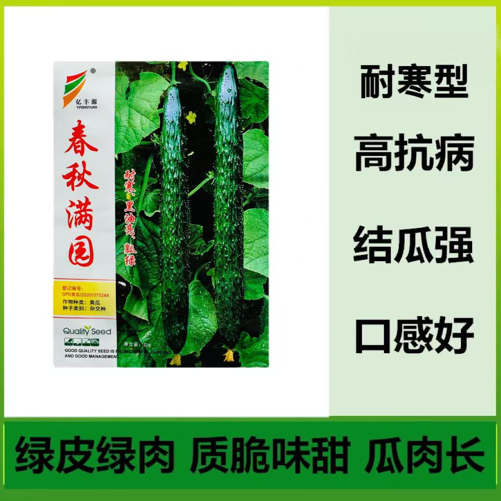 春秋满园黄瓜种子早熟油亮型长黄瓜种籽绿瓤抗病高产春秋播黄瓜孑