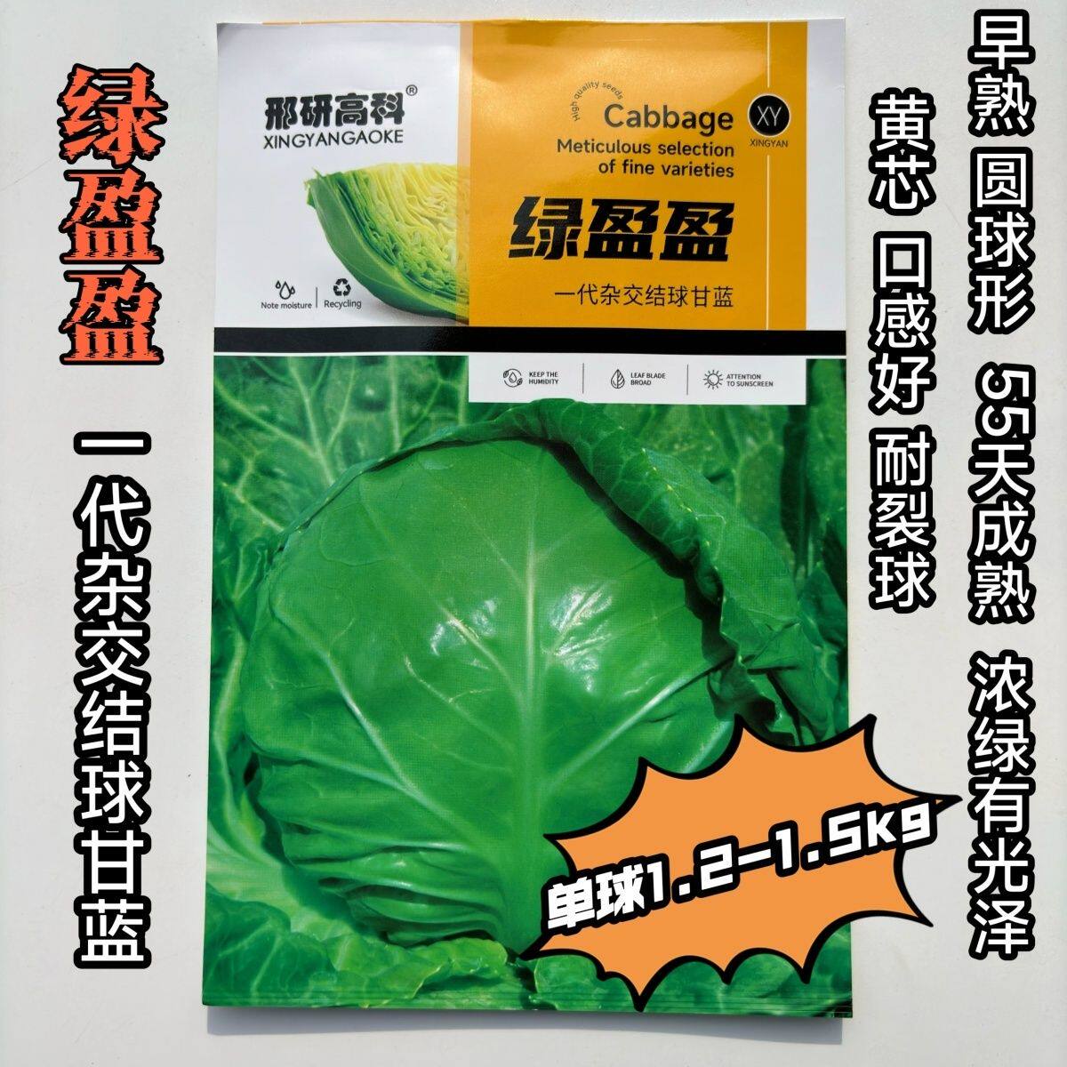 绿盈盈意大利进口甘蓝种子杂交圆球形浓绿有光泽黄心耐裂春秋大田