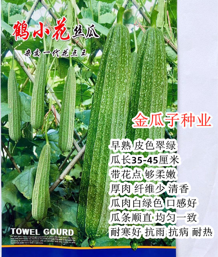 鹤小花香嫩棱角丝瓜种子皮薄肉厚蔬菜种子八棱丝瓜种籽广东丝瓜孑