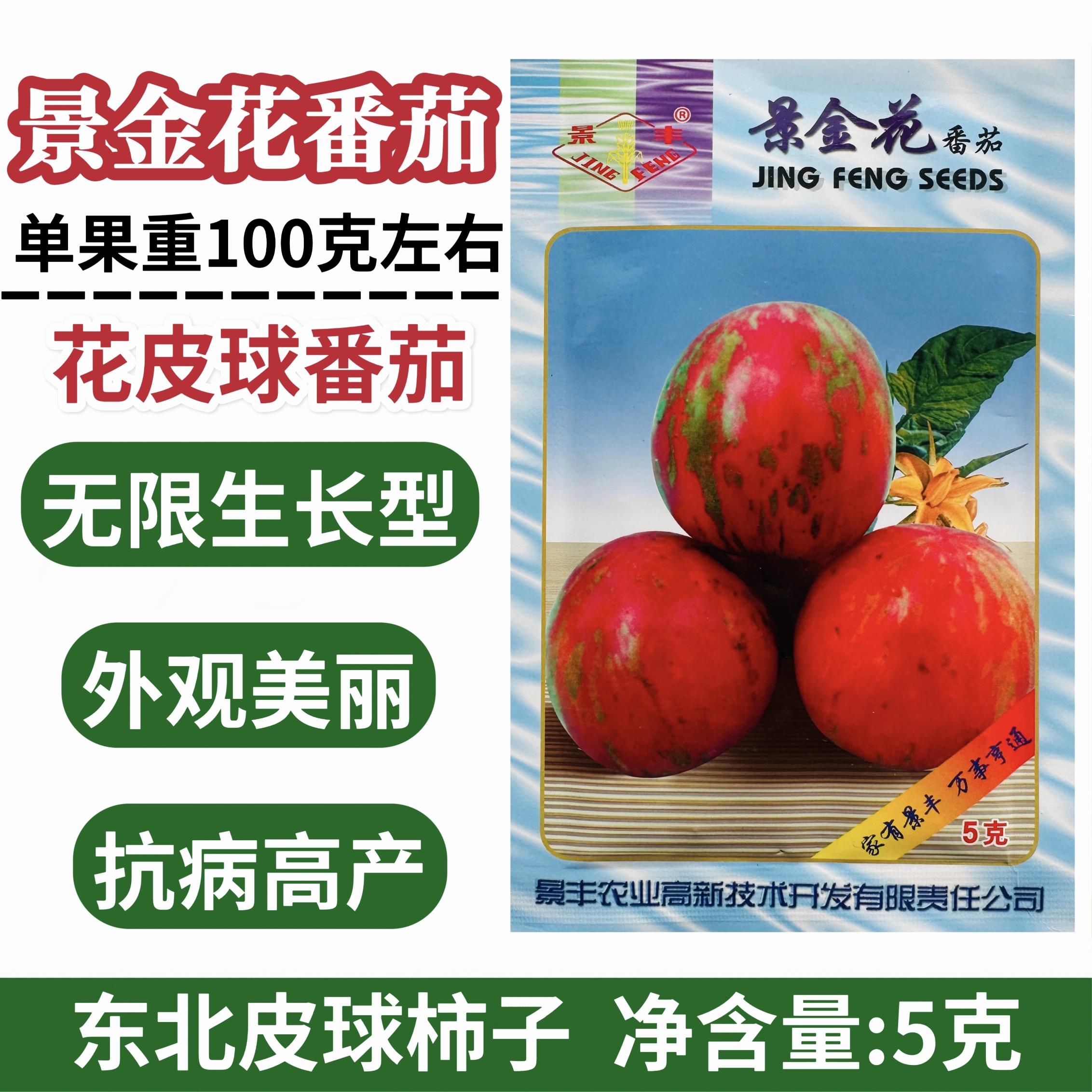 景丰番茄种子景金花番茄种子花皮球番茄种籽无限生长型水果番茄籽