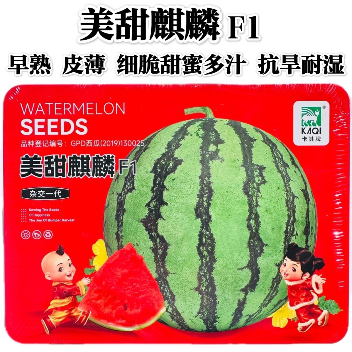 美甜麒麟西瓜种子早熟皮薄抗旱耐湿酥脆甘甜多汁薄皮大果西瓜种籽
