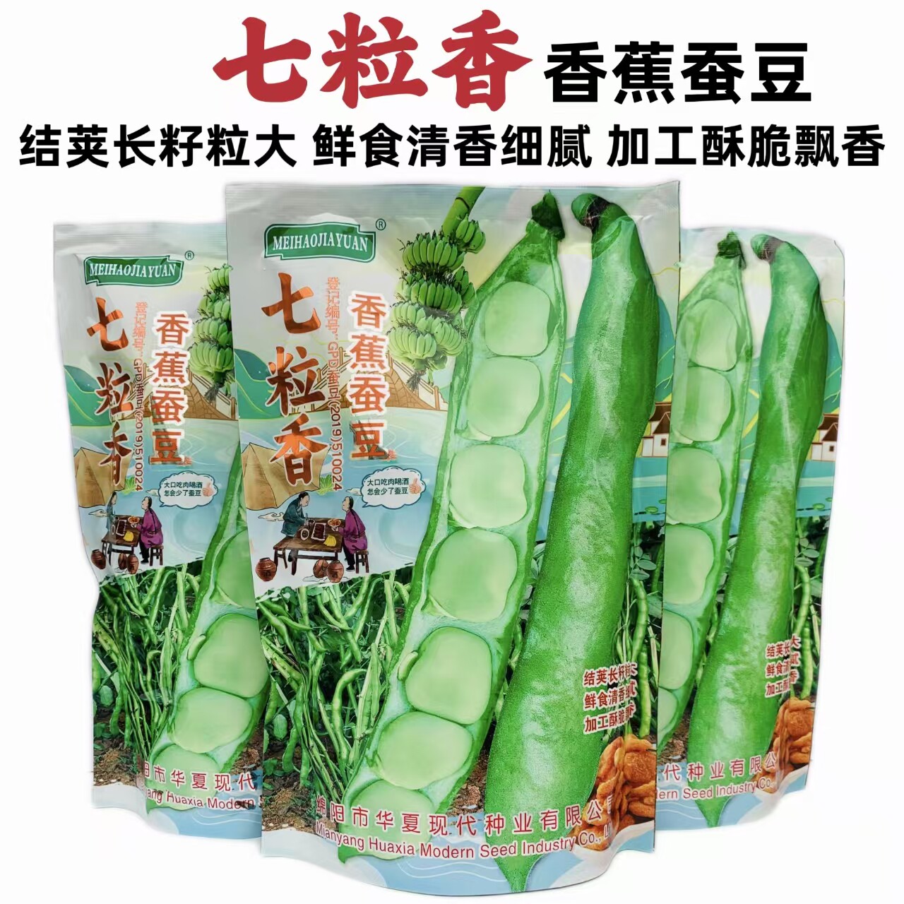 正品七粒香香蕉蚕豆种子籽罗汉豆种籽春秋冬季播早熟耐寒胡豆种孑