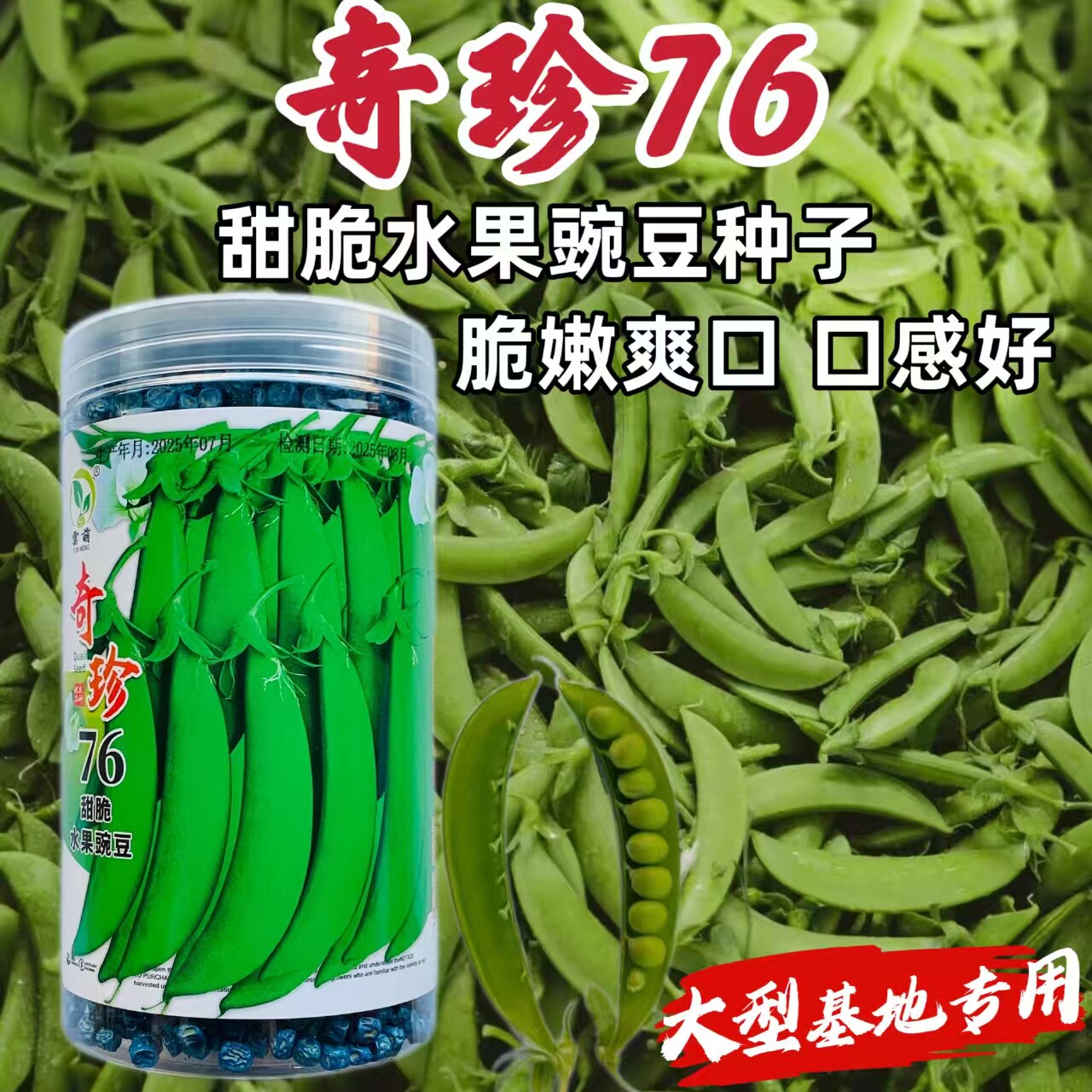 奇珍76甜豌豆带壳吃甜豆可生吃甜脆肉豌豆软荚吃壳甜豌豆种孑