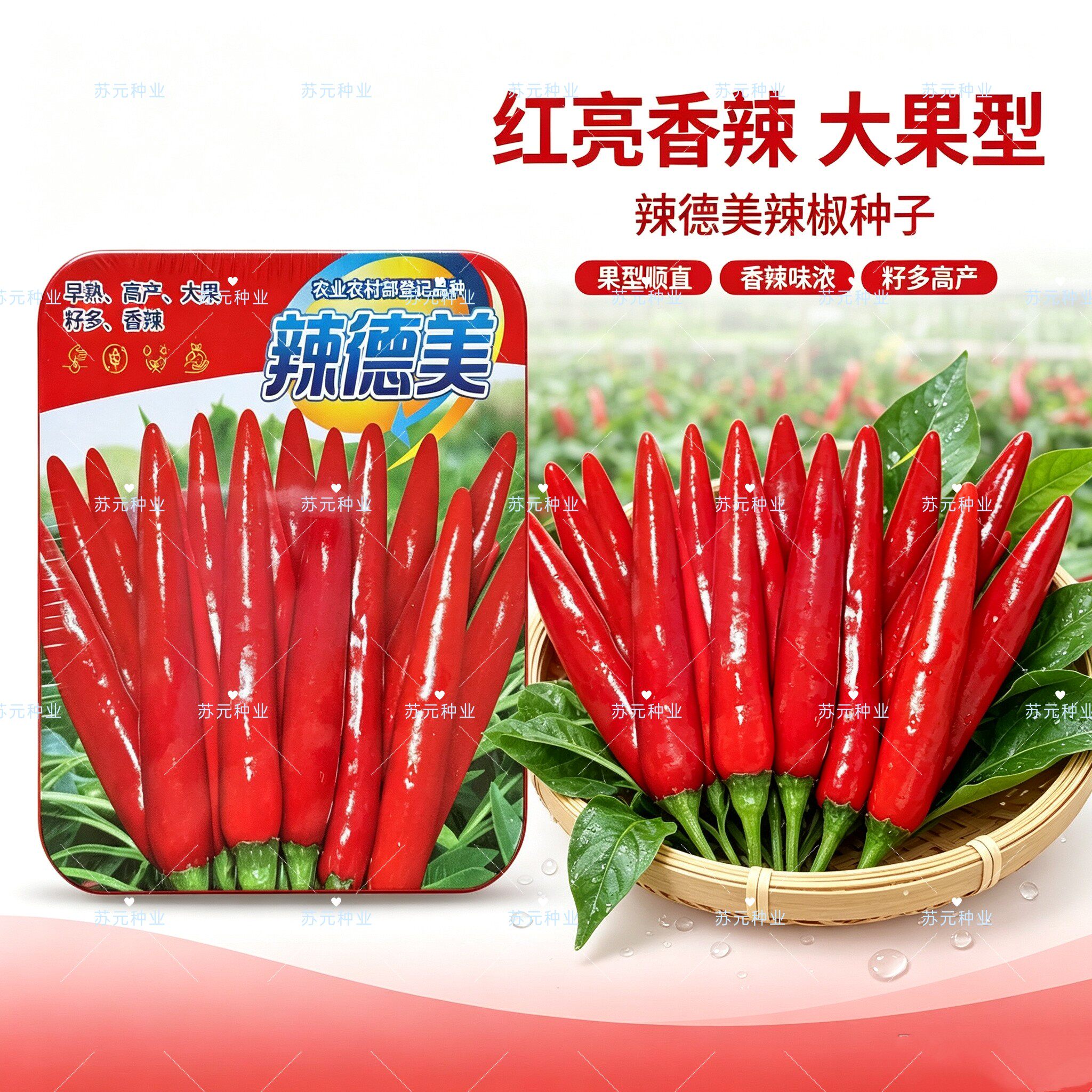 辣德美簇生朝天椒种子早熟辣椒种籽超辣阳台盆栽四季播种蔬菜种子