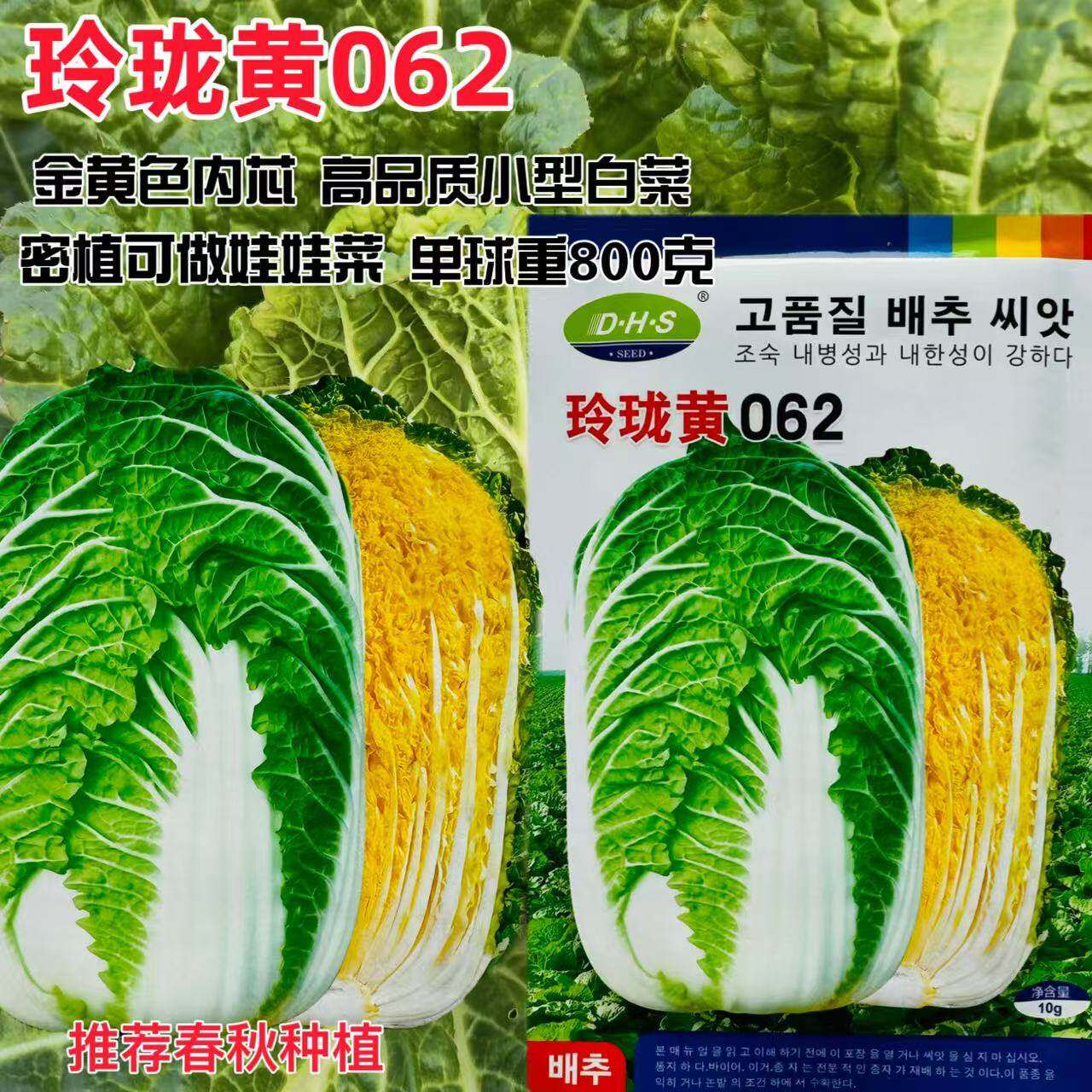 玲珑黄062春播早熟黄芯白菜种子小型白菜娃娃菜抗病口感好10克装