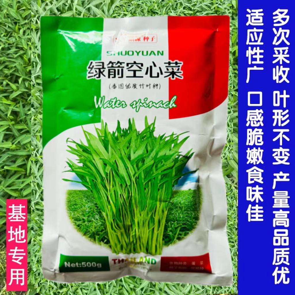 绿箭空心菜种子翠绿竹叶空心菜种籽泰国进口高产质地脆嫩基地用种