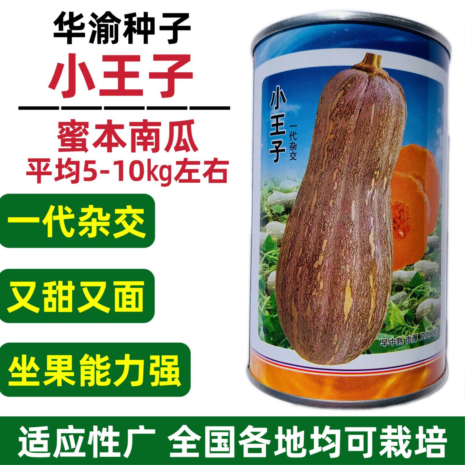 小王子蜜本南瓜种子早中熟大果蜜本又甜又面南瓜种籽高产杂交种孑