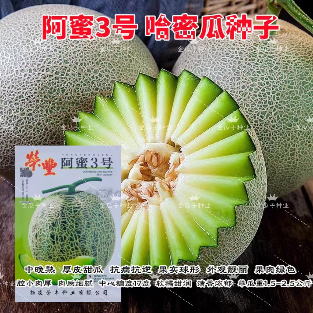 阿蜜3号哈密瓜肉厚腔小脆甜清香