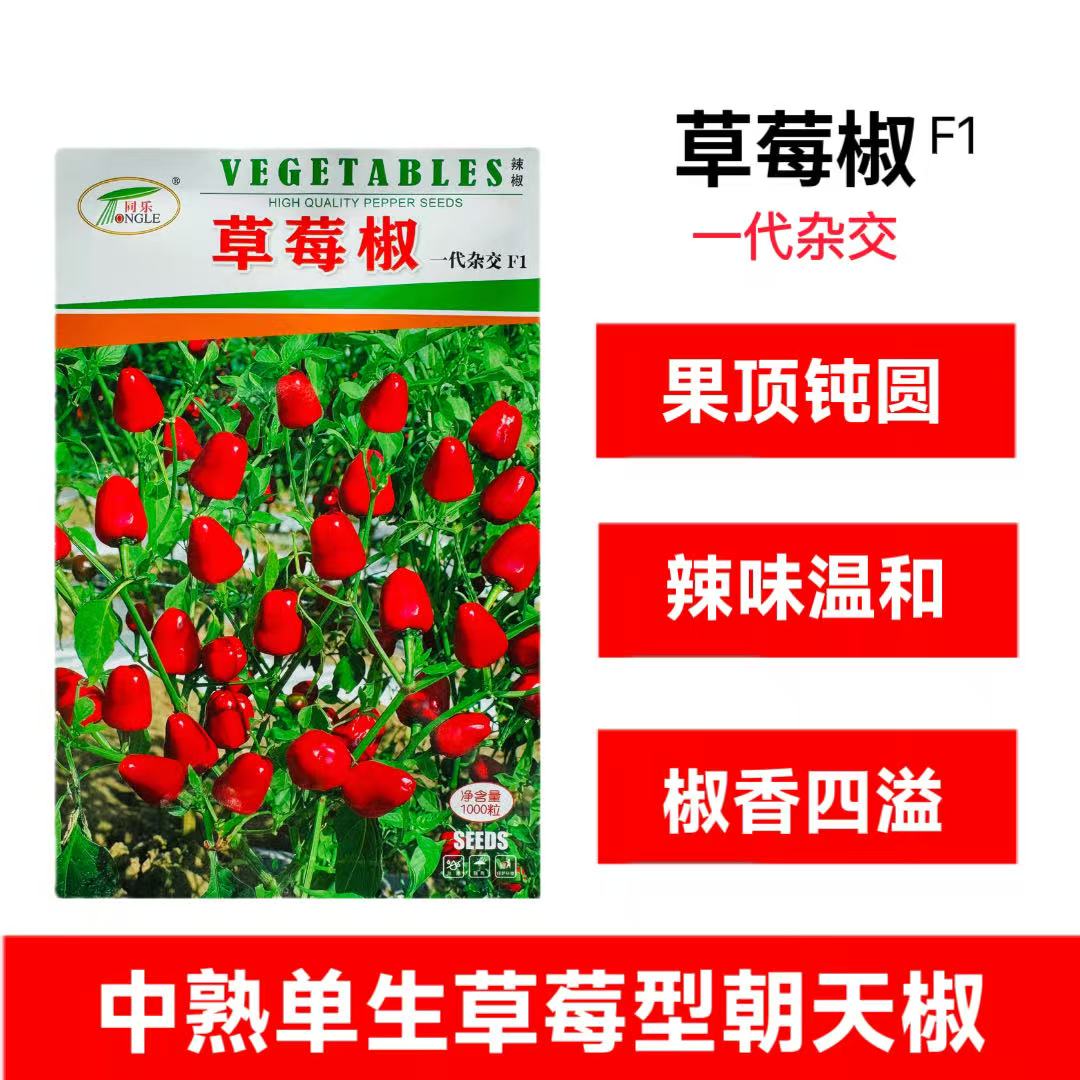 同乐草莓椒辣椒种子鲜艳浓辣多果高产耐热农家春秋播种精选椒种孑