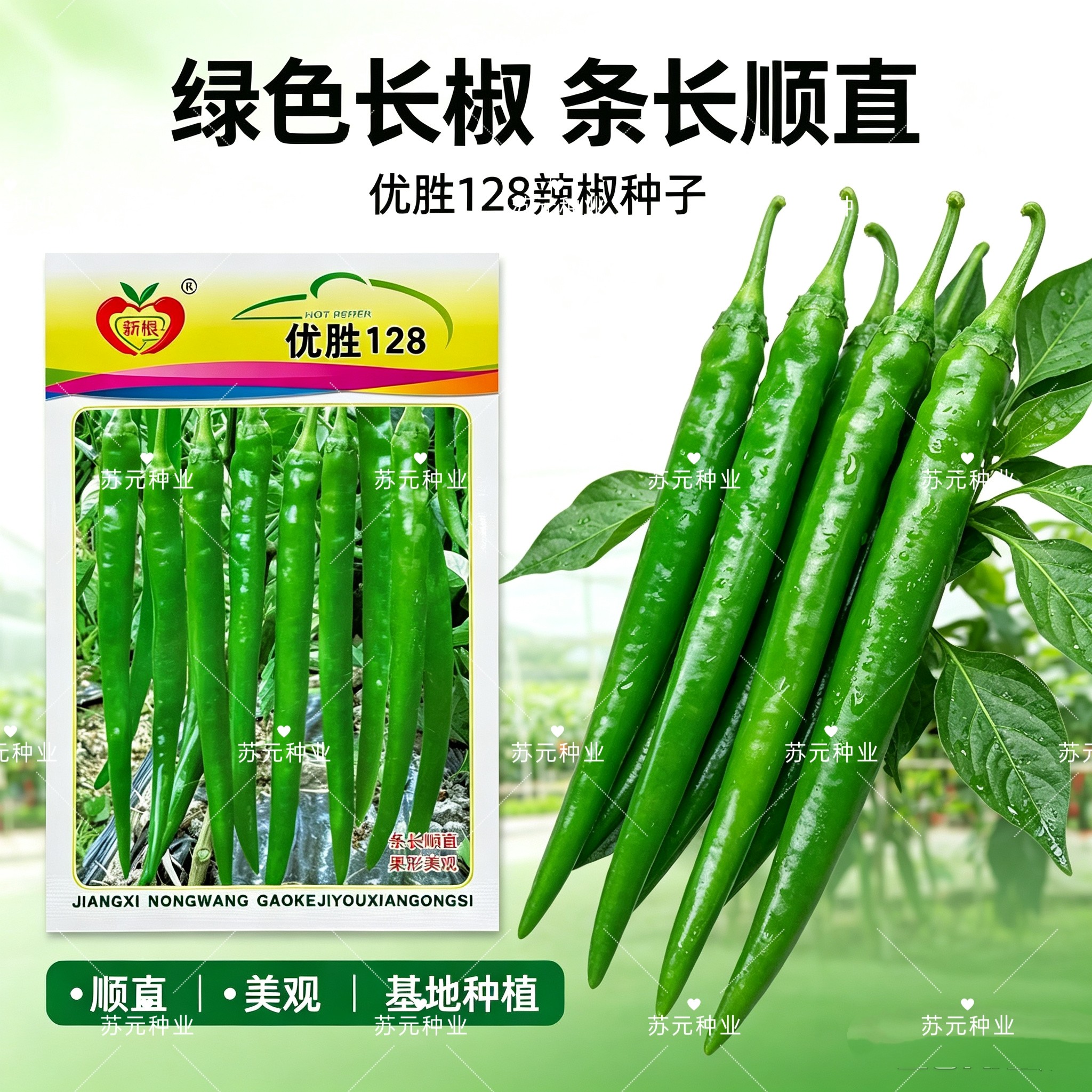 优胜128线辣椒种子青椒长线椒种籽顺直薄皮杭椒线辣椒籽大田高产
