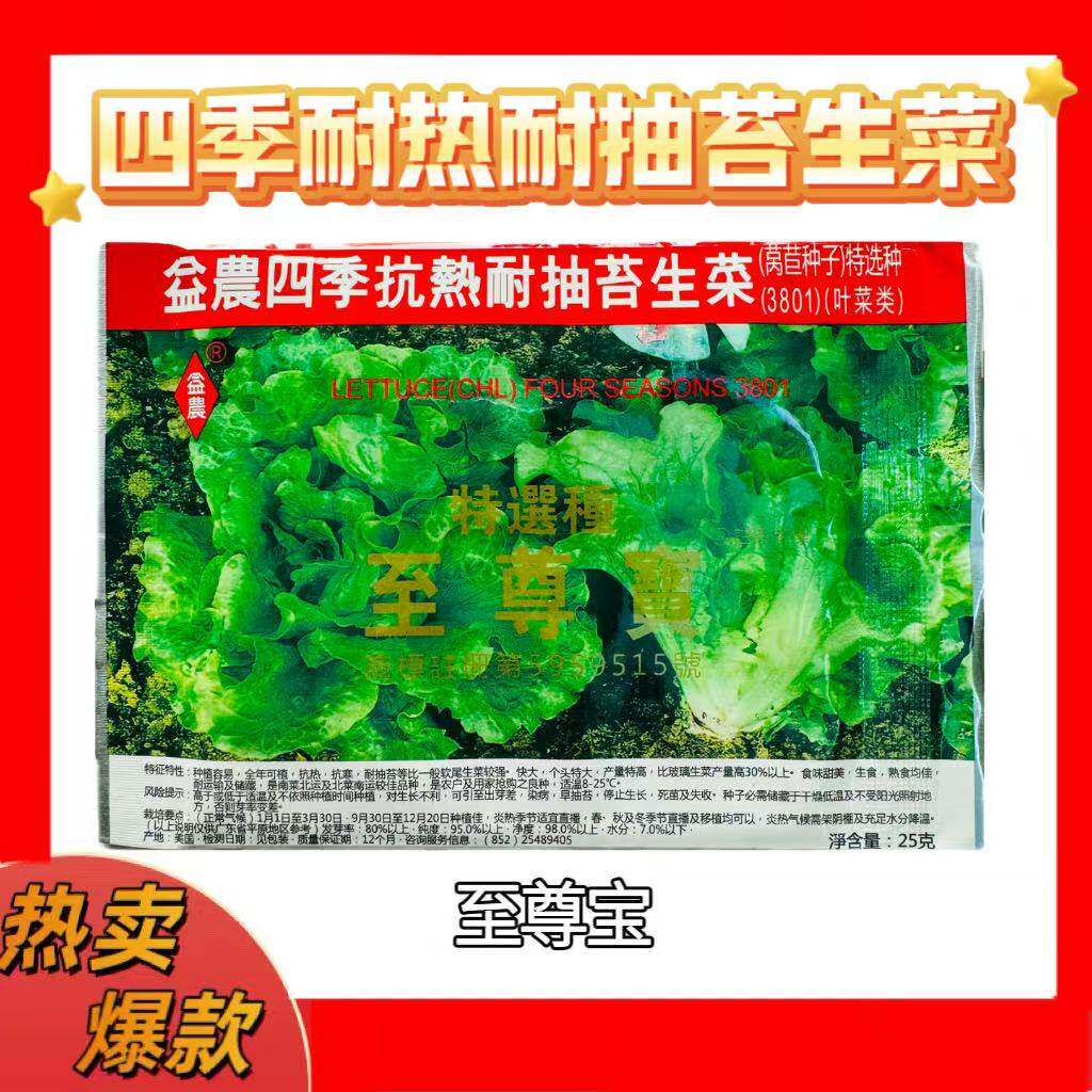 至尊宝益农抗热耐抽苔生菜种子耐热夏秋季四季蔬菜种籽25克