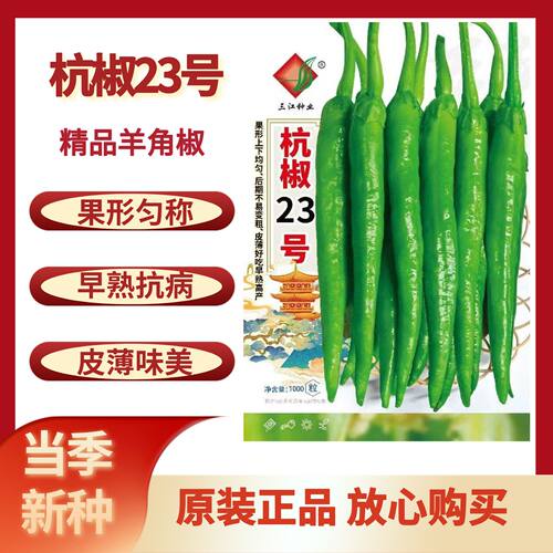 杭椒23号辣椒种子早熟高产抗病耐热耐寒春秋播大田基地蔬菜种孑
