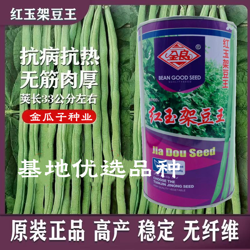 红玉架豆王豆角早熟高产耐热耐老
