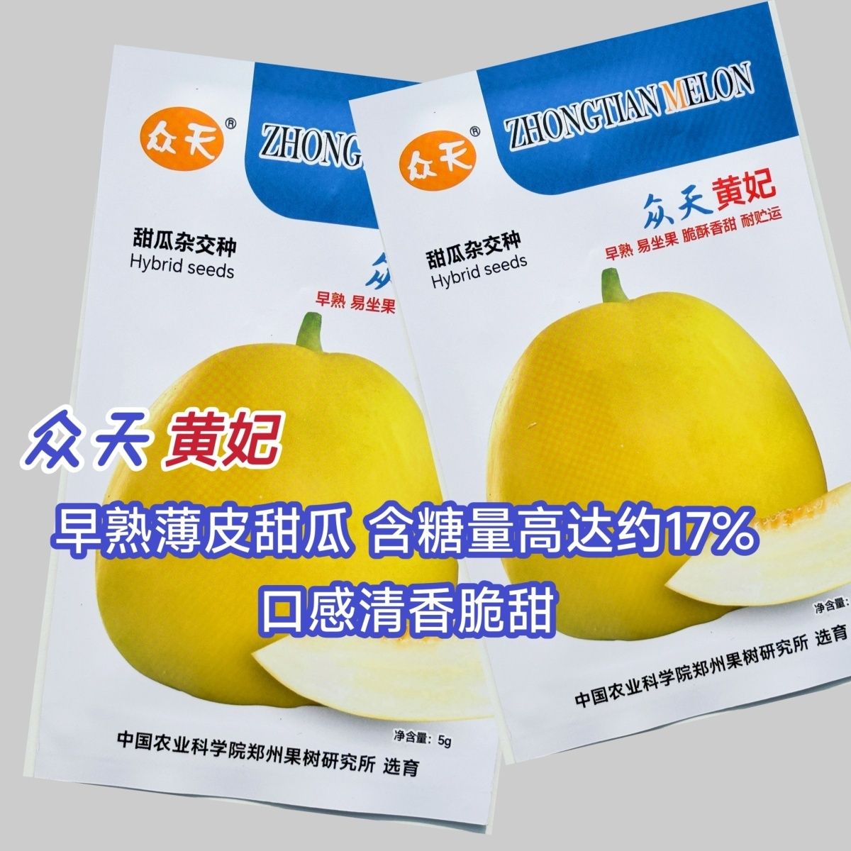 众天黄妃甜瓜种子水果种子杂交黄皮甜瓜种子薄皮厚肉香瓜清香脆甜