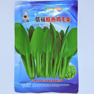 信福酷热鸡毛菜青菜种籽种子高产耐热耐湿速生鸡毛菜小青菜种子孑