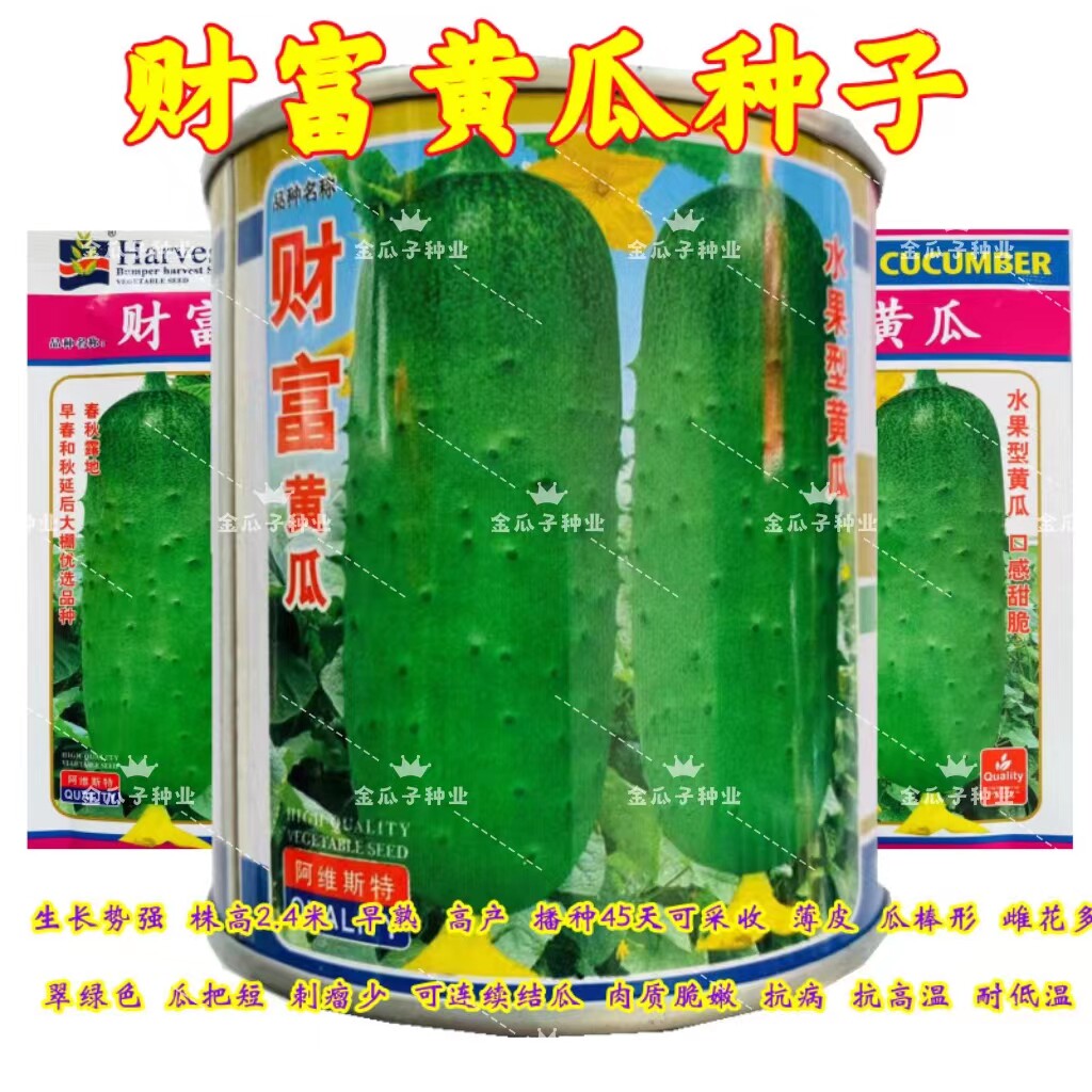 蓟农财富水果黄瓜早熟高产刺溜少