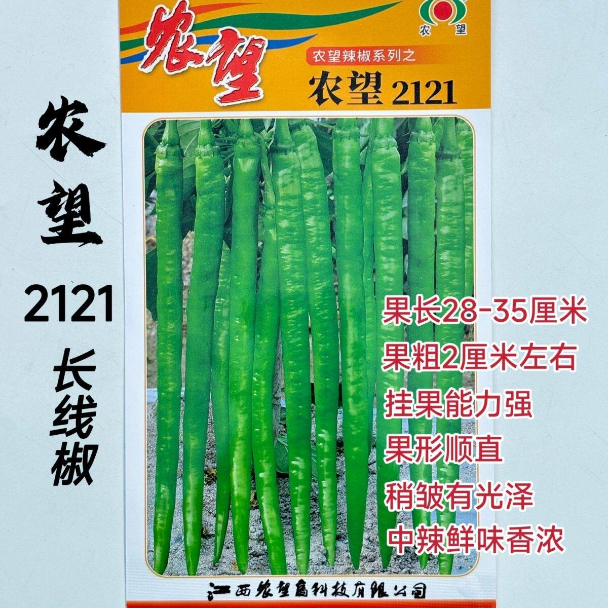 农望2121辣椒种子早中熟长线椒种籽中辣青红两用春秋播种蔬菜种子