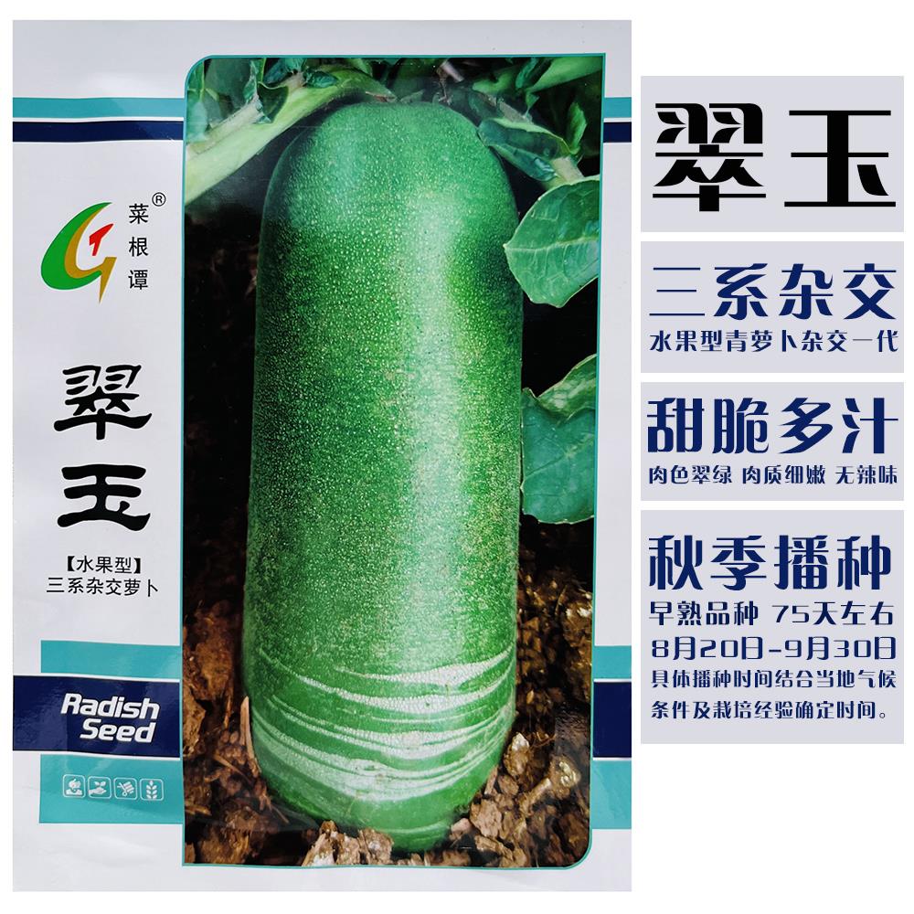 翠玉水果萝卜种子青皮青肉脆甜多汁萝卜种籽三系杂交萝卜种籽