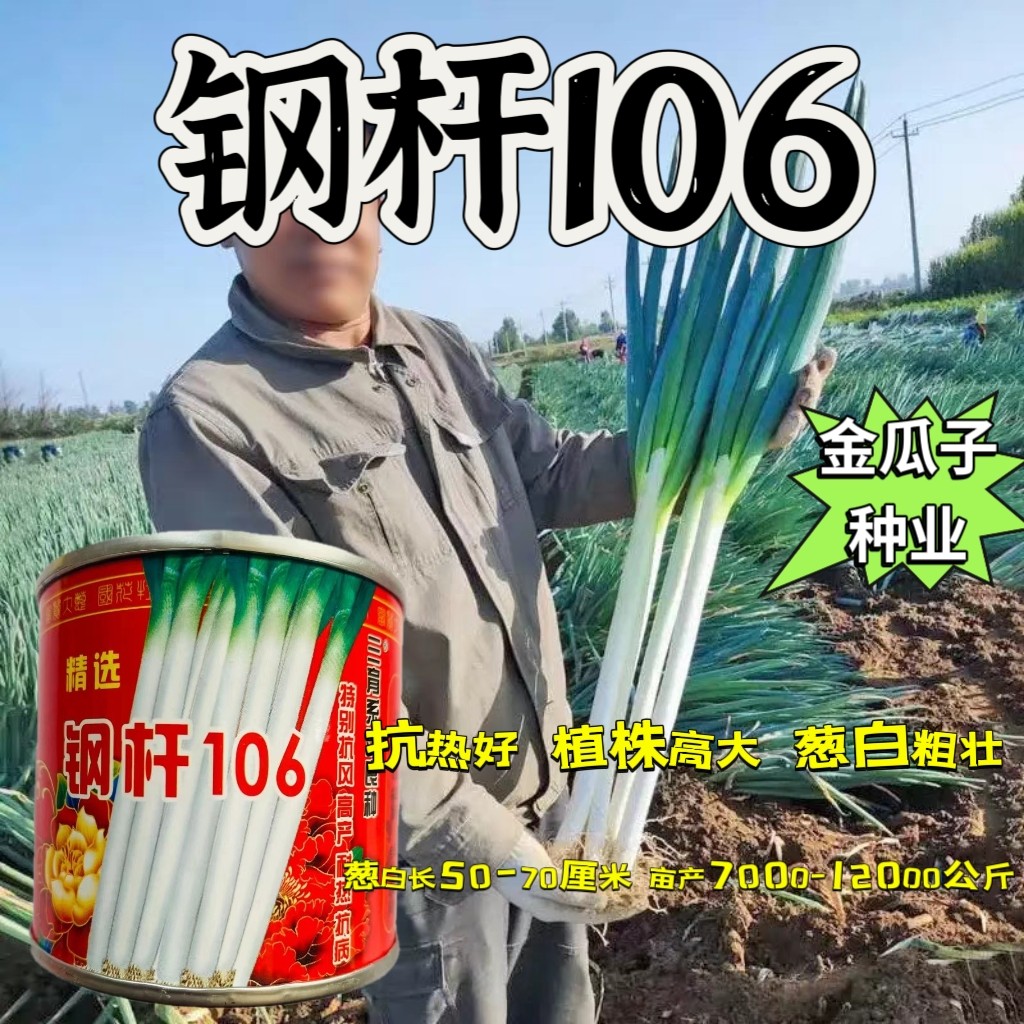 钢杆106三育系列大葱种子高产抗病抗风大田用种罐装100克大葱种子