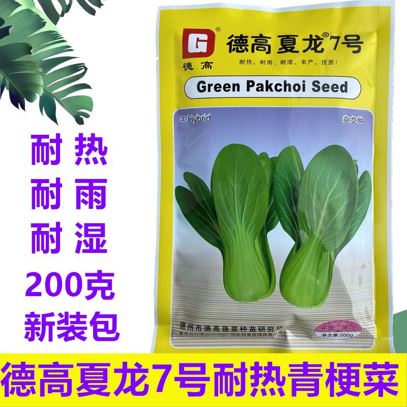 德高夏龙7号 青梗菜种子耐热耐湿高产抗病耐贮运优质德高菜种子