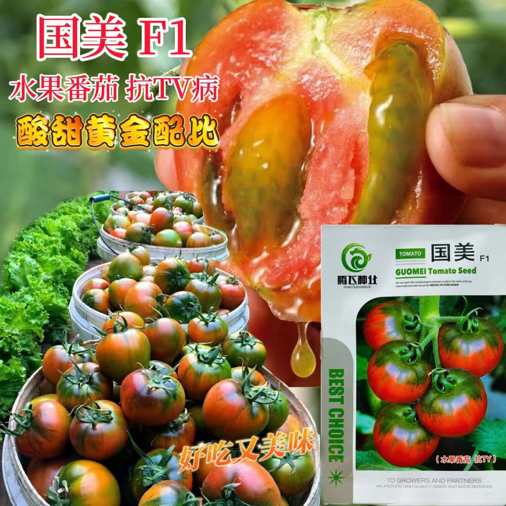 草莓水果番茄种早熟抗病香甜肉厚