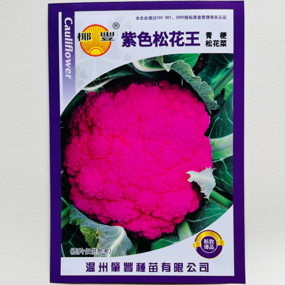 紫色松花王青梗松花菜种子花菜种籽花椰菜种孑春秋播蔬菜种籽菜孑