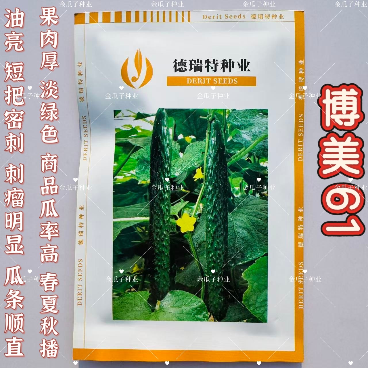 德瑞特博美61黄瓜种子油亮黄瓜粗短把密刺瓜条顺直绿皮绿肉黄瓜