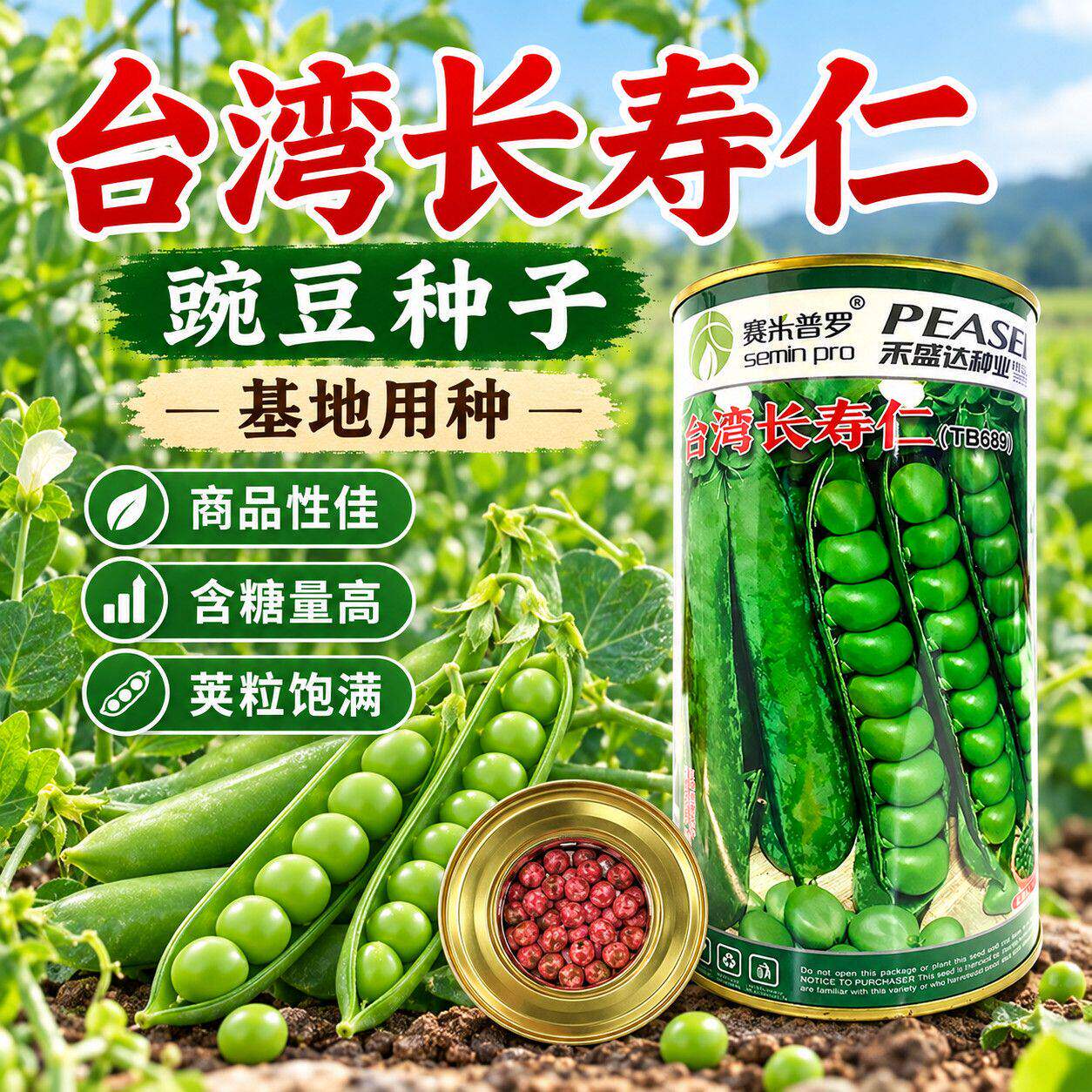 台湾长寿仁豌豆罐装翠绿豌豆种子台湾引进嬾豆糖度16 抗白粉病