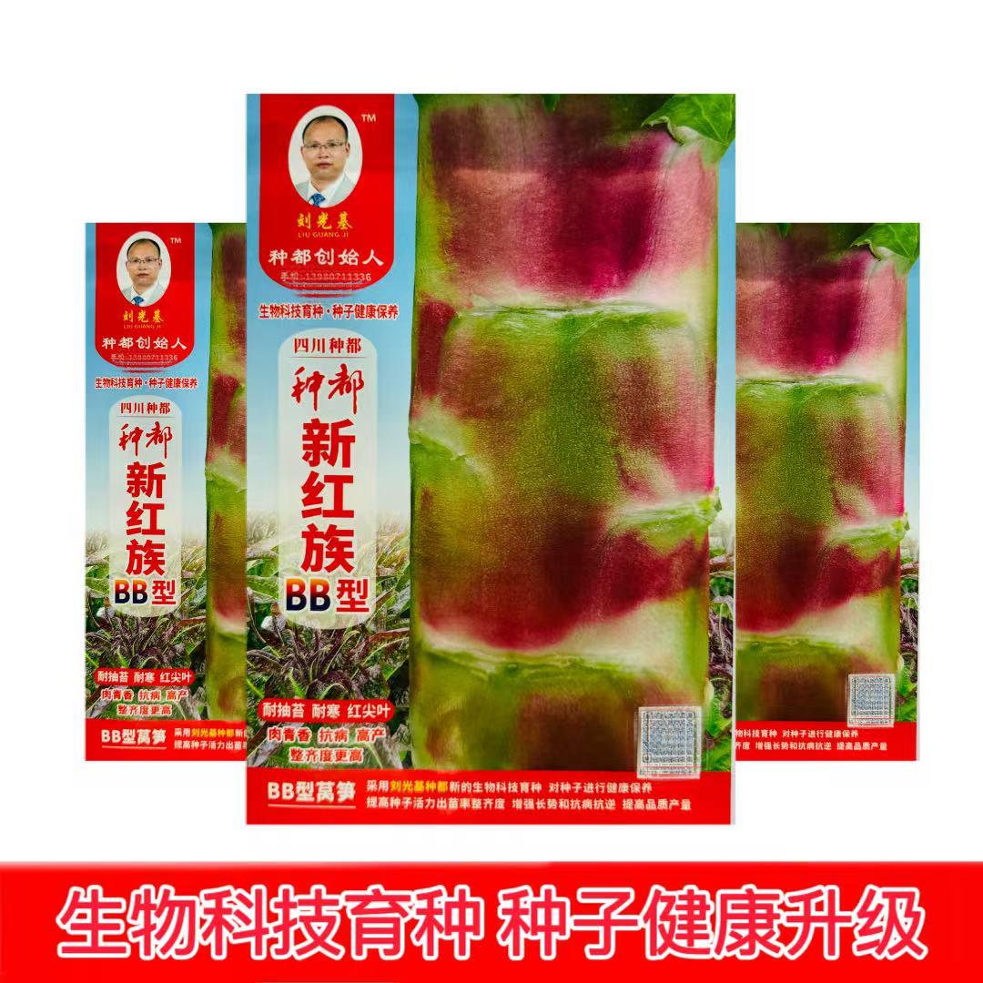 四川种都新红族BB型红莴笋种子红皮青肉耐抽苔耐寒红尖叶高产春秋