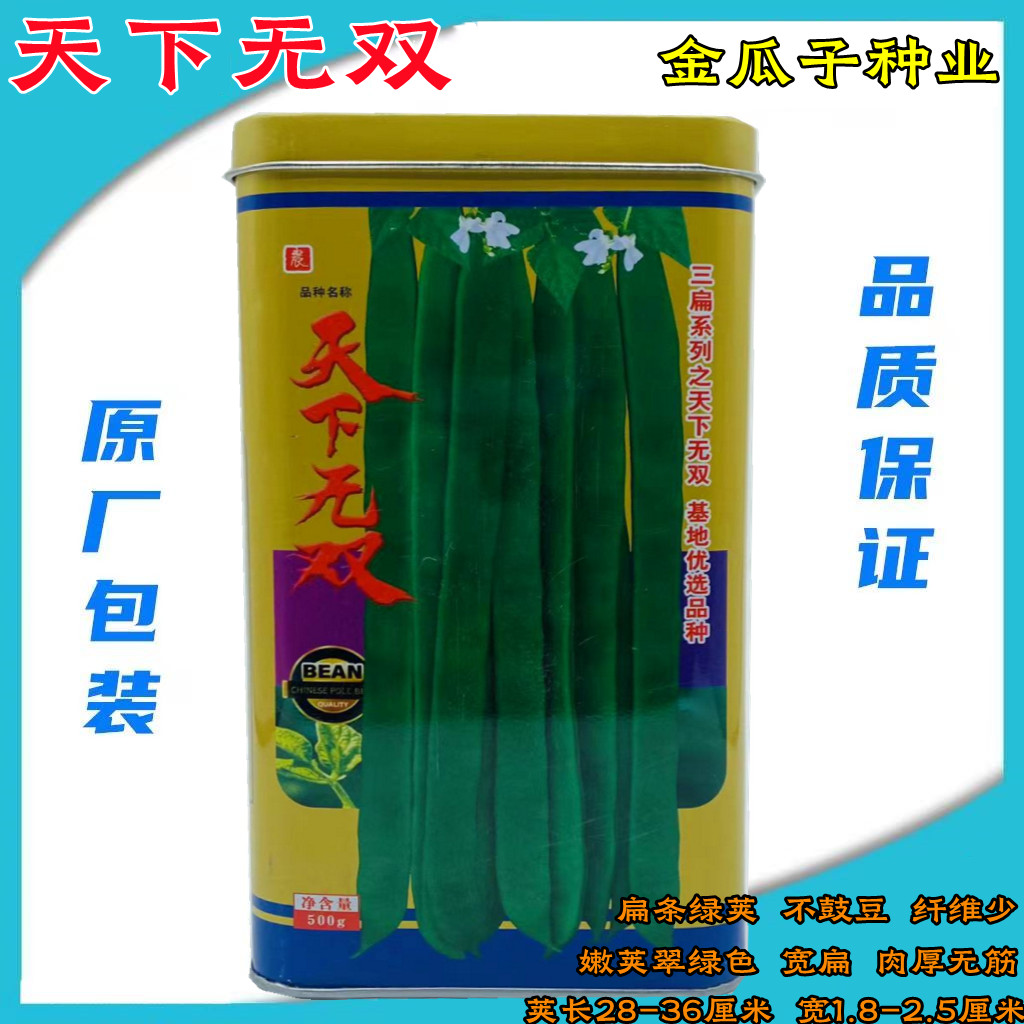 蓟农种子天下无双架豆种子扁条绿荚宽扁四季豆种籽肉厚无筋架豆王