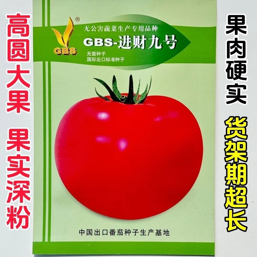 GBS进财九号深粉番茄种子无限生长高圆大果无绿肩抗病毒货架期长