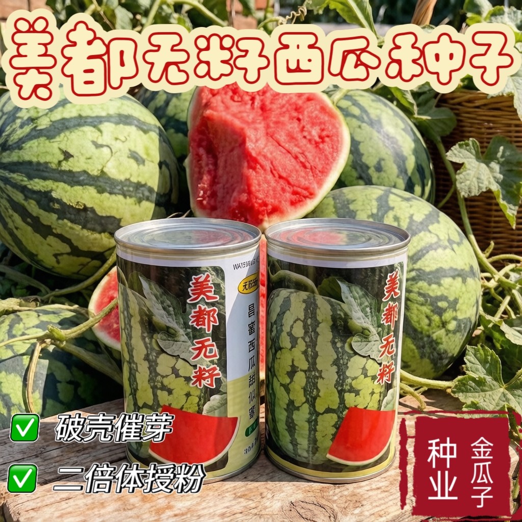 美都无籽薄皮大西瓜种子8424西瓜子种子早熟超甜西瓜种种子专用