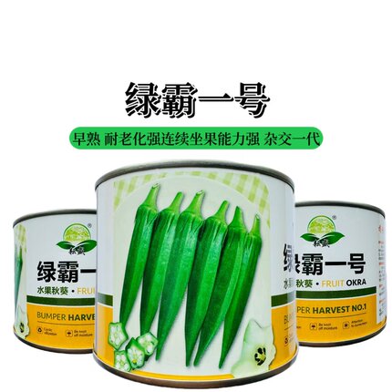 绿霸一号秋葵种子杂交早熟高产抗病整齐度好耐老春播四季水果种孑