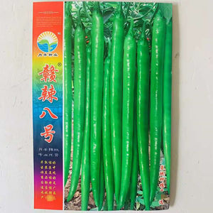 月丰种业赣辣八号辣椒种子早熟抗病特长果线椒种籽味辣春秋高产孑