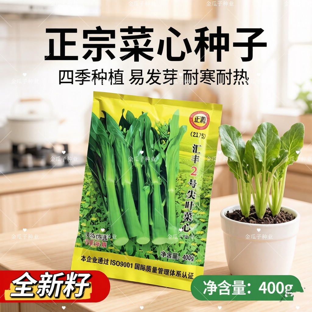 汇丰2号尖叶菜心种子中迟熟甜脆无渣茎苔粗大叶柄短广东菜心种籽