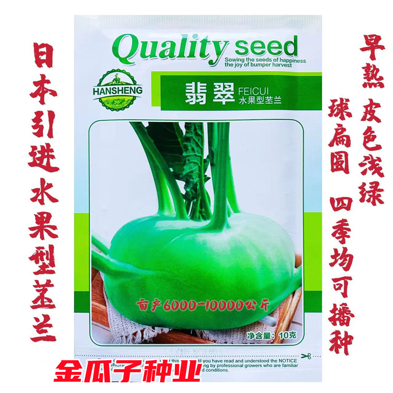 青苤蓝种子翡翠水果苤兰早熟高产