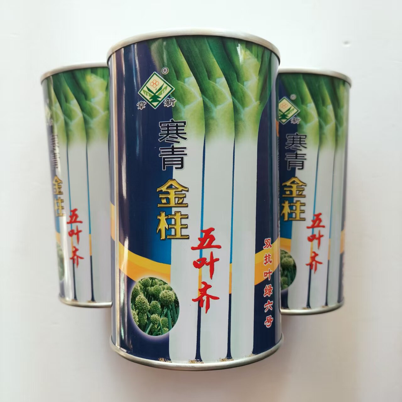 寒青金柱五叶王种子白硬白实抗寒叶片深绿整齐品质佳大葱种子基地