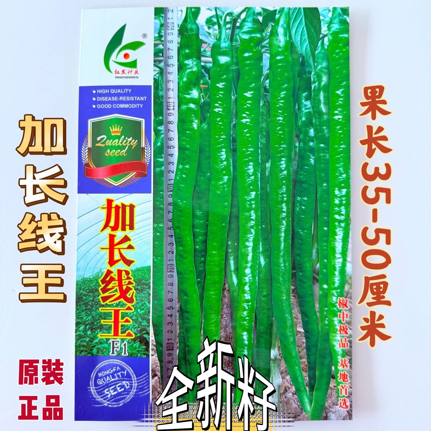 红发加长线王线椒种籽早熟辣味香浓顺直辣椒种子耐热抗病高产种孑