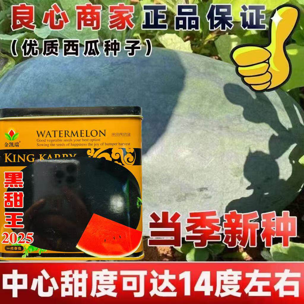 黑甜王西瓜种子黑皮红瓤西瓜种子大果超甜巨型西瓜籽四季懒汉西瓜