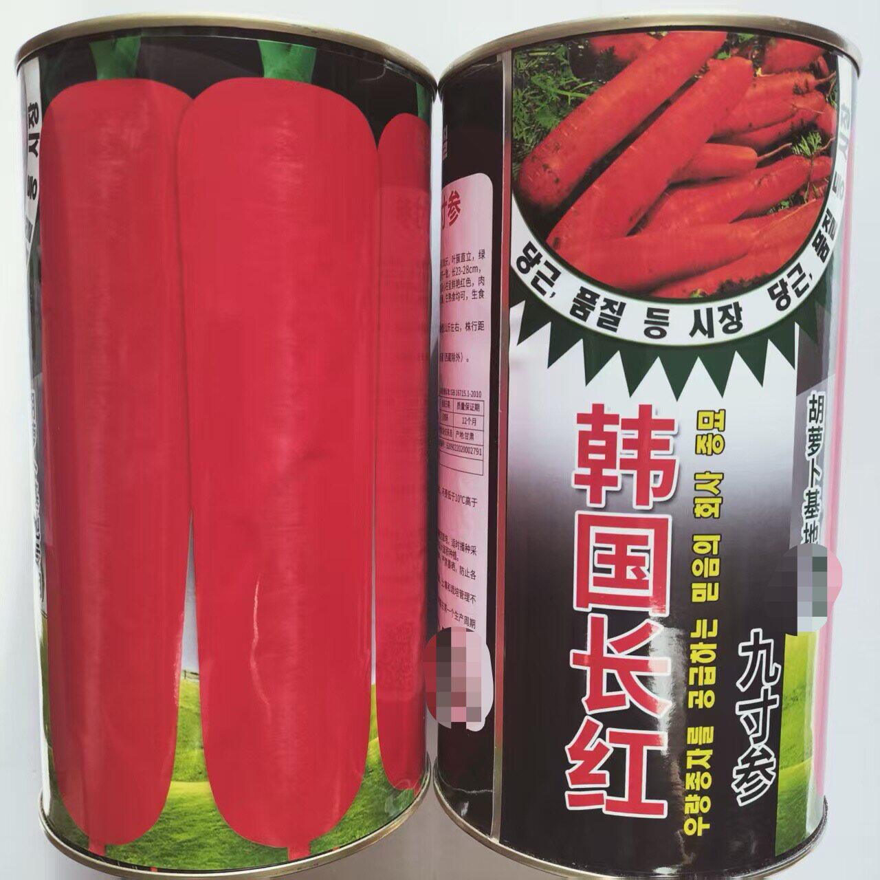 韩国长红九寸参胡萝卜种子耐热耐寒耐贮藏三红胡萝卜生熟食蔬菜籽