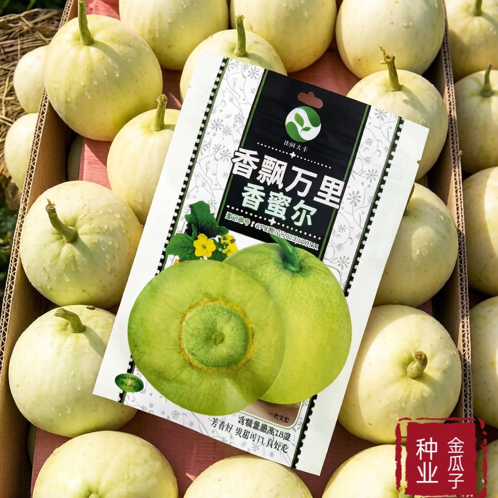 香飘万里甜瓜种子香甜脆高糖梨形香瓜种籽春季播水果种孑春季大田