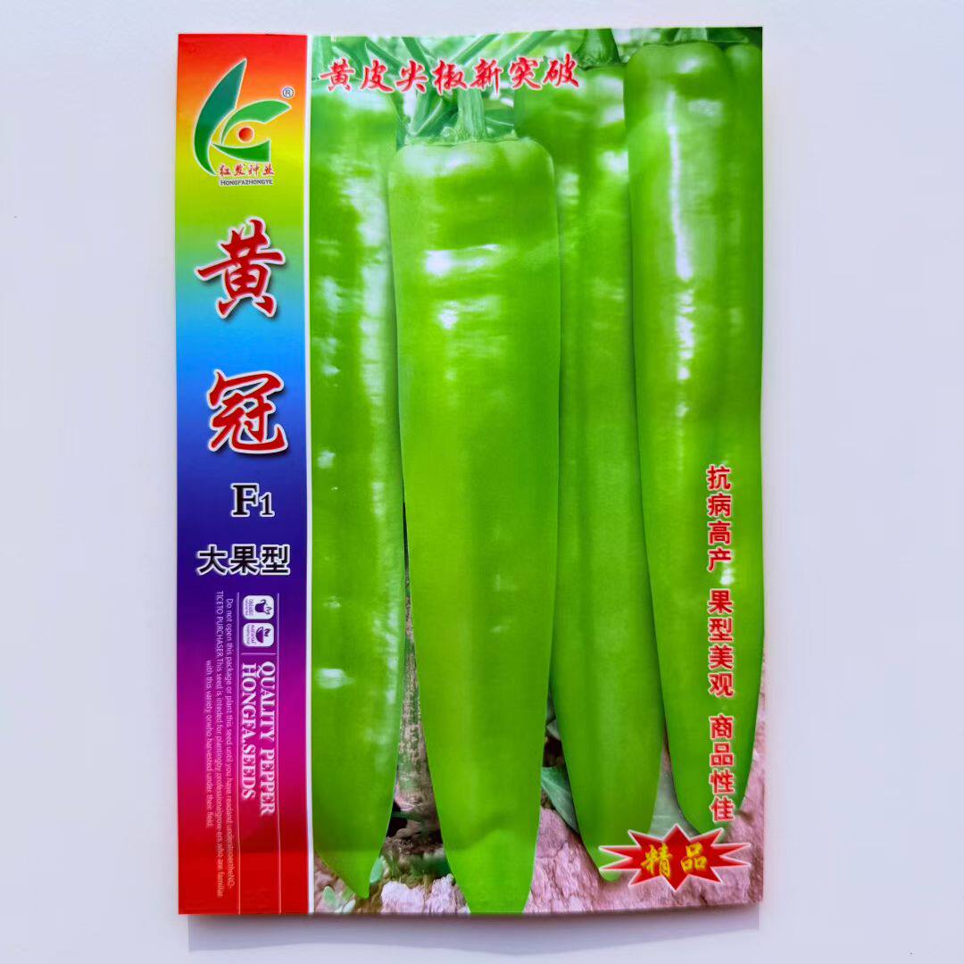 黄冠黄皮大果辣椒尖椒种子辣味黄绿皮中辣高产耐热牛角辣椒种籽