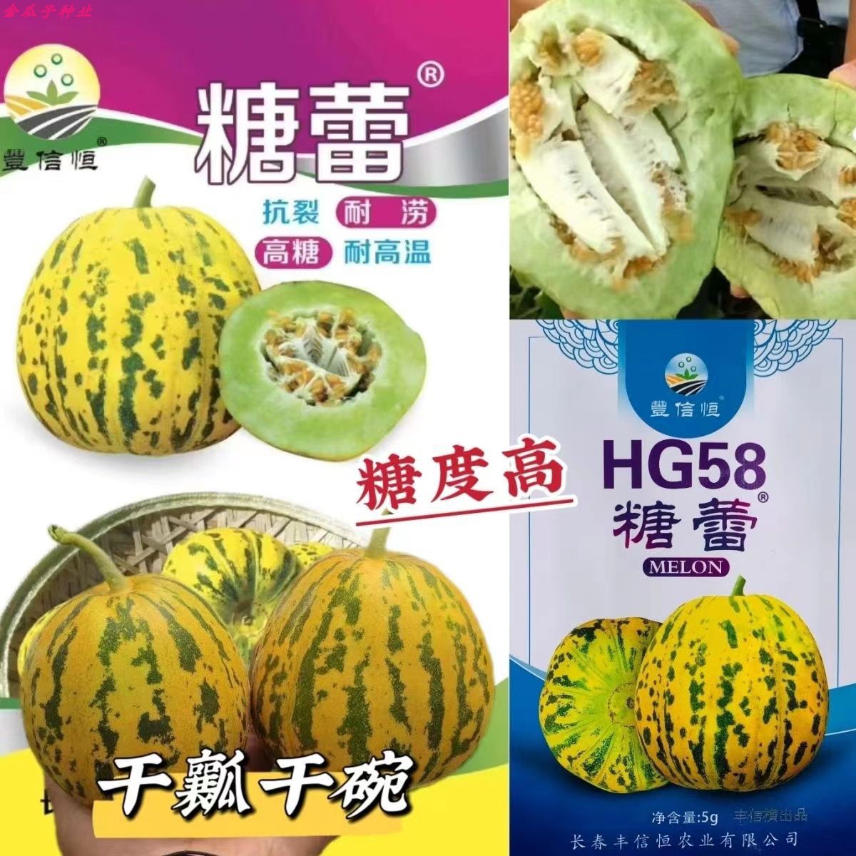 糖蕾甜瓜种子薄皮超甜口感好抗病