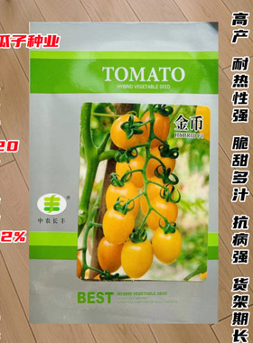 金币小番茄种子樱桃黄番茄种籽阳台四季盆栽蔬菜孑黄色水果圣女果