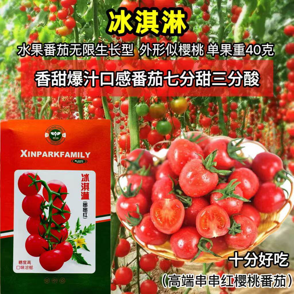 冰淇淋串串红番茄种子无限生长水果番茄种籽早熟肉厚糖度高耐裂果