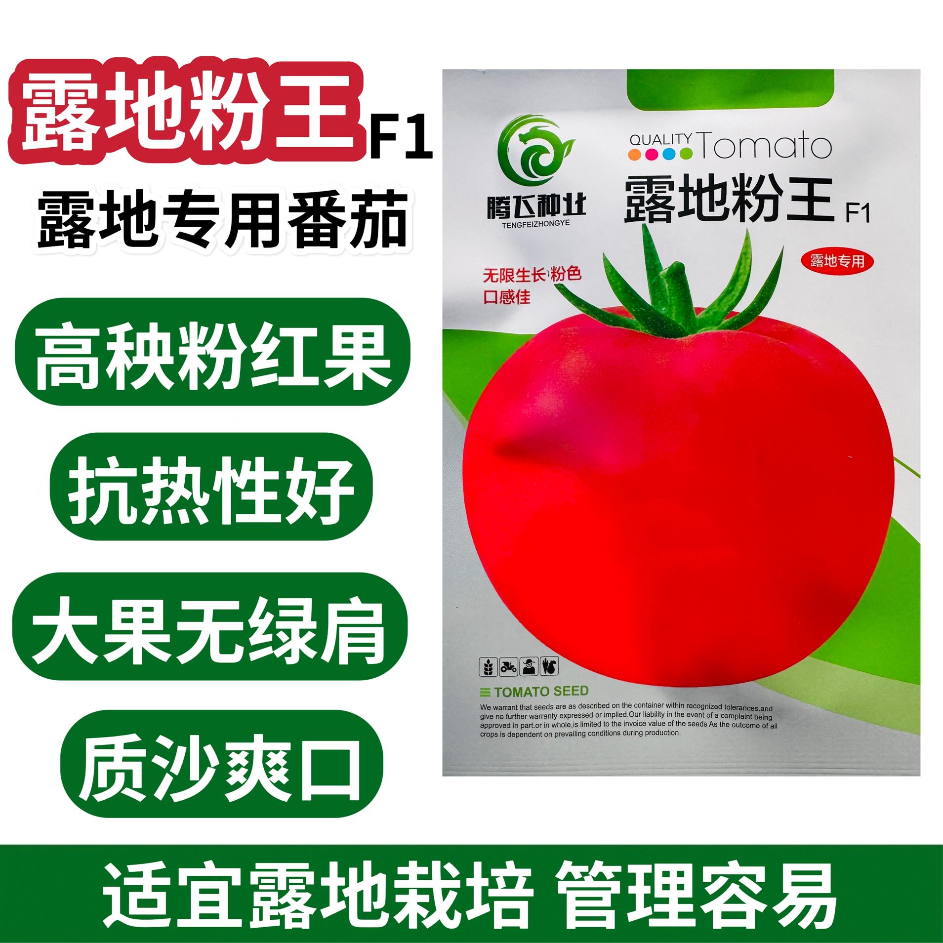露地粉王西红柿种子高秧粉红果番茄种籽抗热质沙大果番茄种子沙瓤