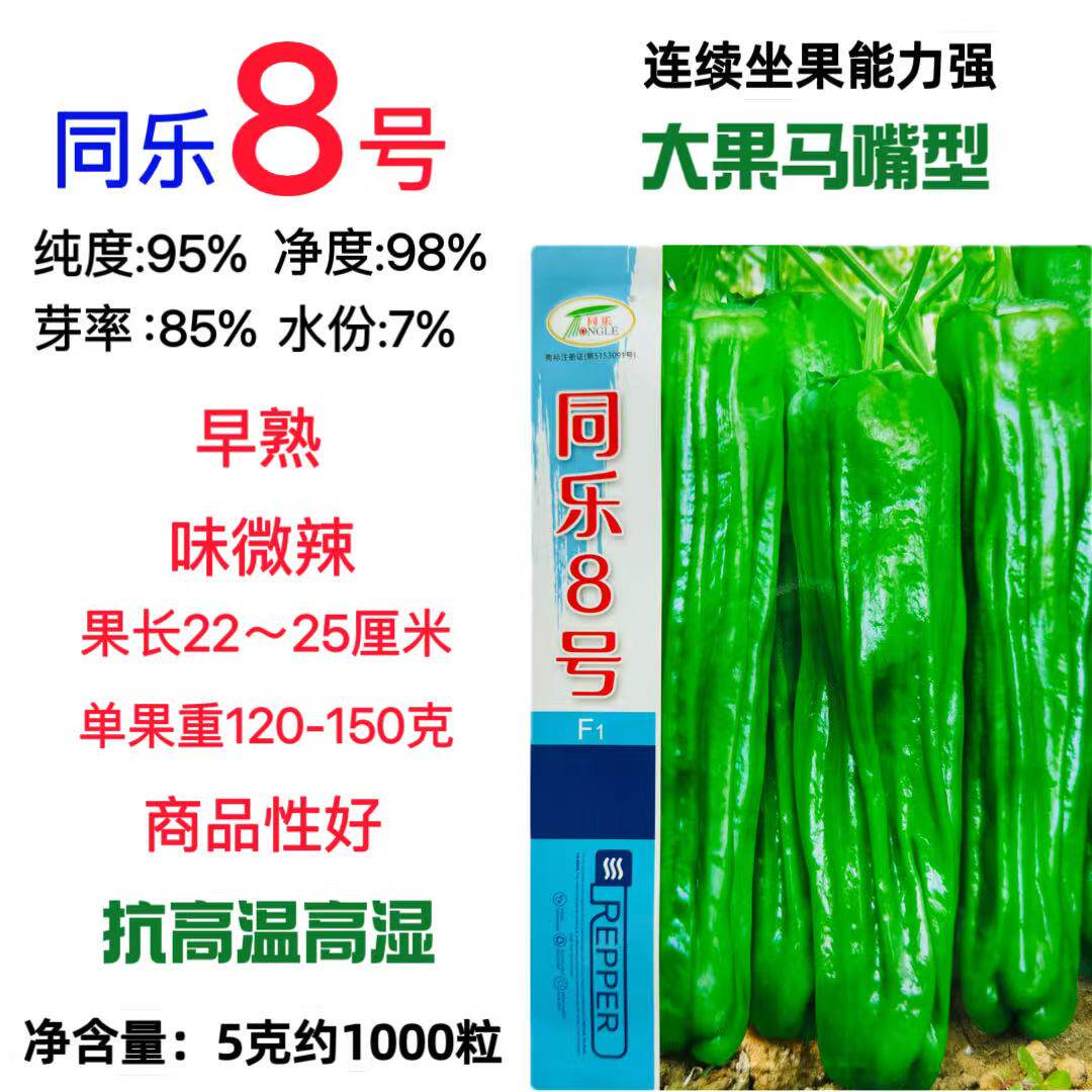同乐8号薄皮辣椒种子早熟大果马嘴青椒种籽农家春秋大田蔬菜种孑