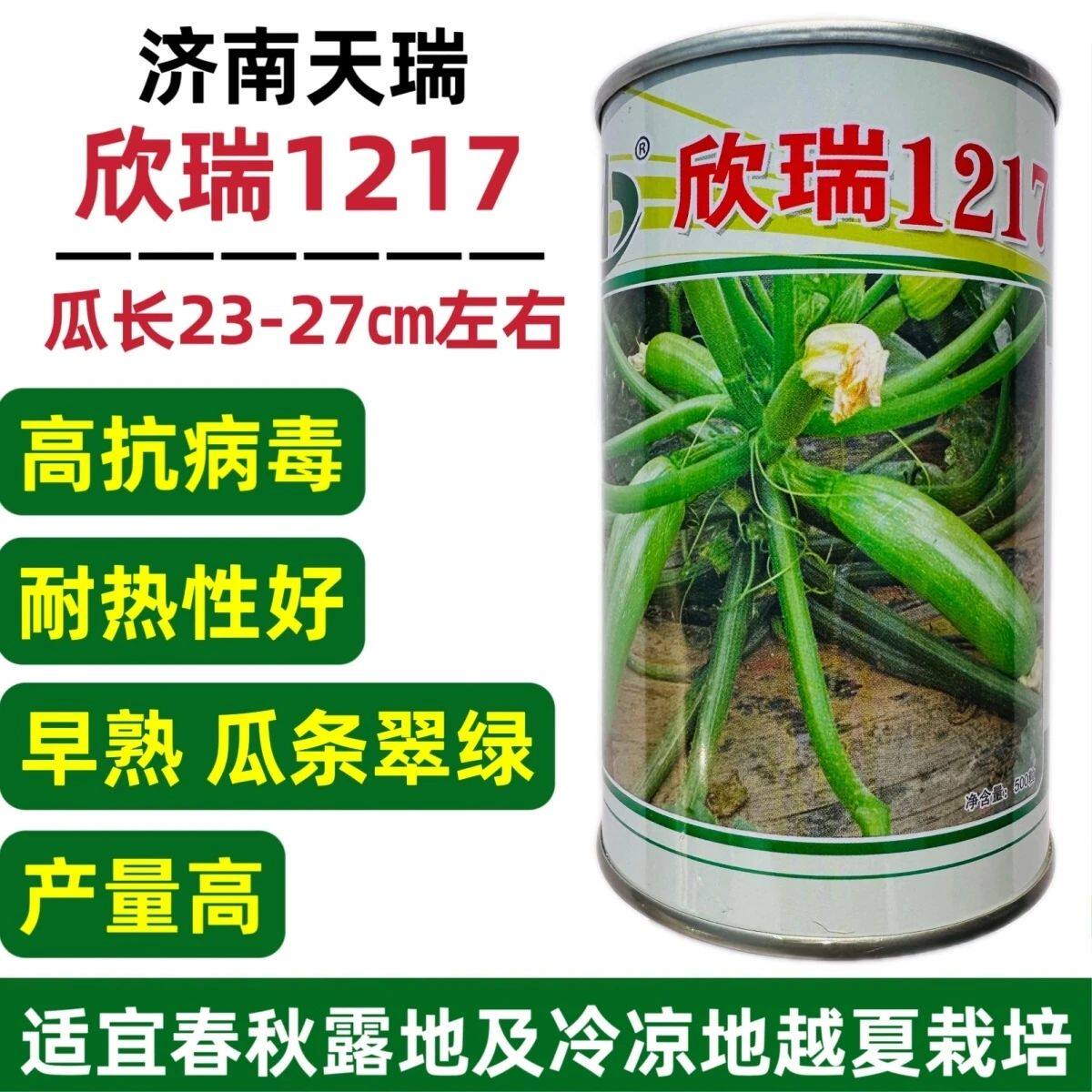 耐热西葫芦种子欣瑞1217西葫芦角瓜抗病早熟春秋瓜籽翠绿番瓜高产