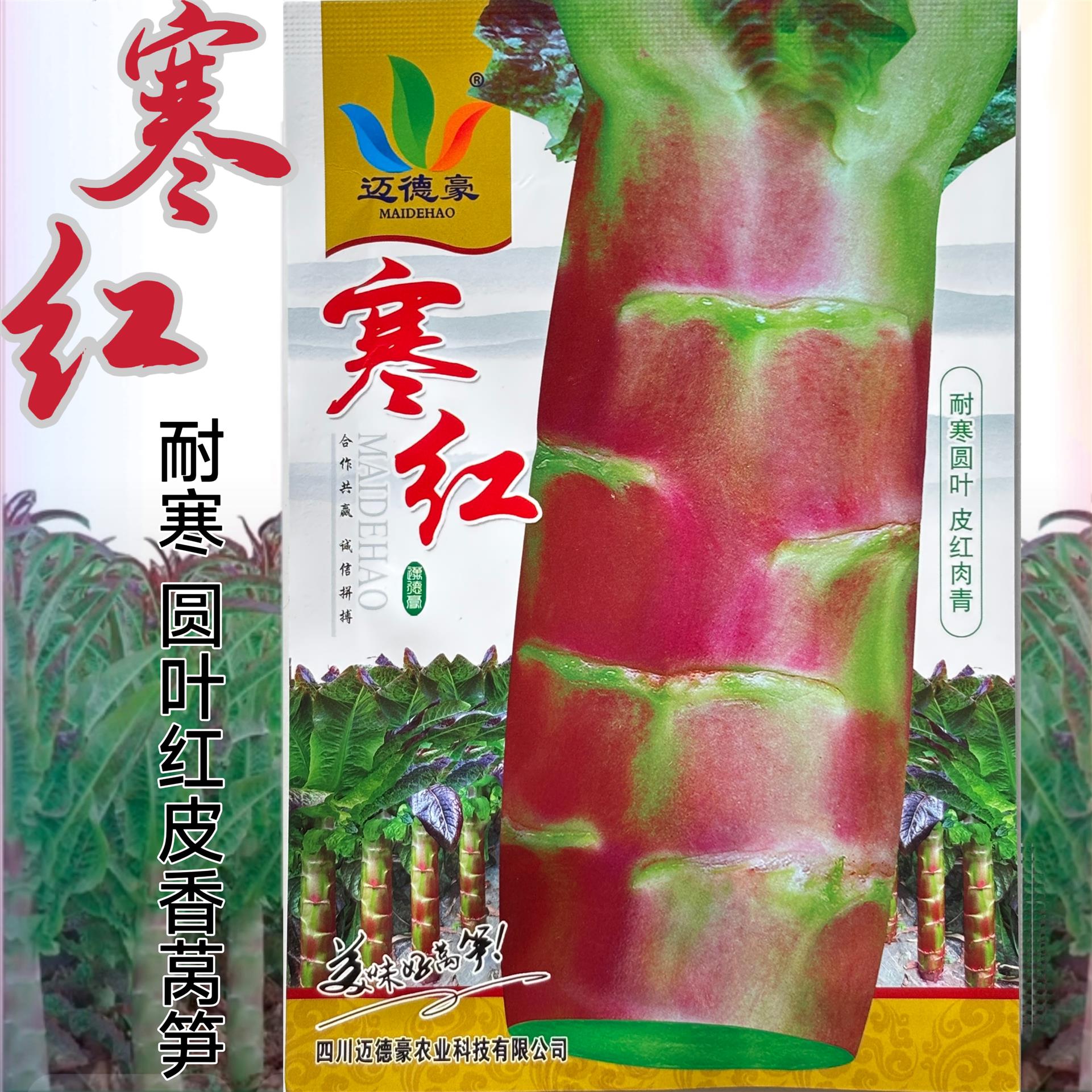 寒红圆叶红莴笋种子耐寒莴苣种籽寒红品红四季秋冬季蔬菜菜